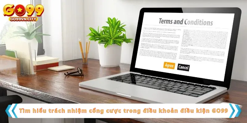 Tìm hiểu trách nhiệm cổng cược trong điều khoản điều kiện GO99